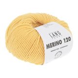 MERINO 120